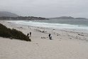 IMG_3183