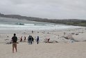 IMG_3184