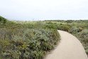 IMG_3191
