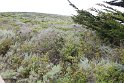 IMG_3192