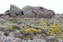 IMG_3199