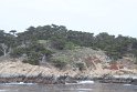 IMG_3200