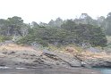 IMG_3201