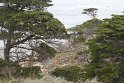 IMG_3206
