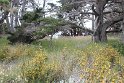 IMG_3207