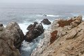 IMG_3209