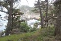 IMG_3220