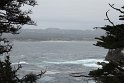 IMG_3221