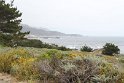 IMG_3223
