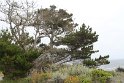 IMG_3224
