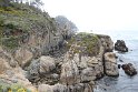 IMG_3234