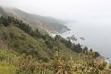 IMG_3243