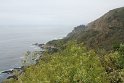 IMG_3244