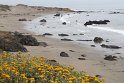 IMG_3253