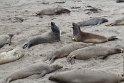 IMG_3262