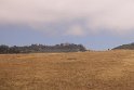 IMG_3265