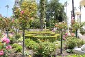 IMG_3299