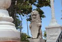 IMG_3334