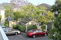 IMG_3408
