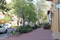 IMG_3417
