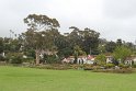 IMG_3430