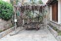 IMG_3445