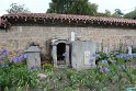 IMG_3449