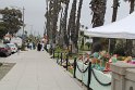 IMG_3458