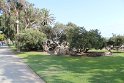 IMG_3481