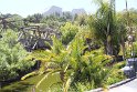 IMG_3543