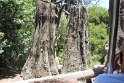 IMG_3555