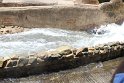 IMG_3567