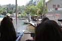 IMG_3584