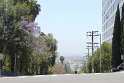 IMG_3789
