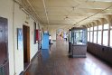 IMG_3897