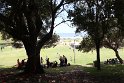 IMG_1030