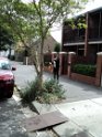 DSC00210