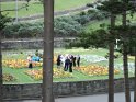 DSC00224