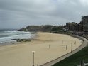 DSC00231