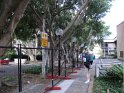 DSC00262