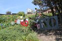 IMG_4295