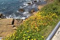 IMG_4298