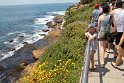 IMG_4299