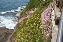 IMG_4304
