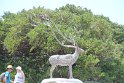 IMG_4318