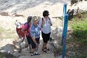 IMG_1347