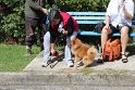 IMG_1352