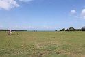 IMG_1356
