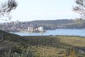 IMG_1368