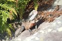 IMG_1372